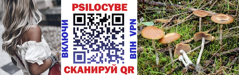 Псилоцибиновые грибы Cubensis  что такое   Курчатов 