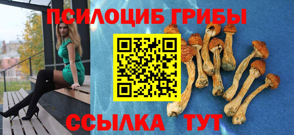 Галлюциногенные грибы мухоморы Курчатов